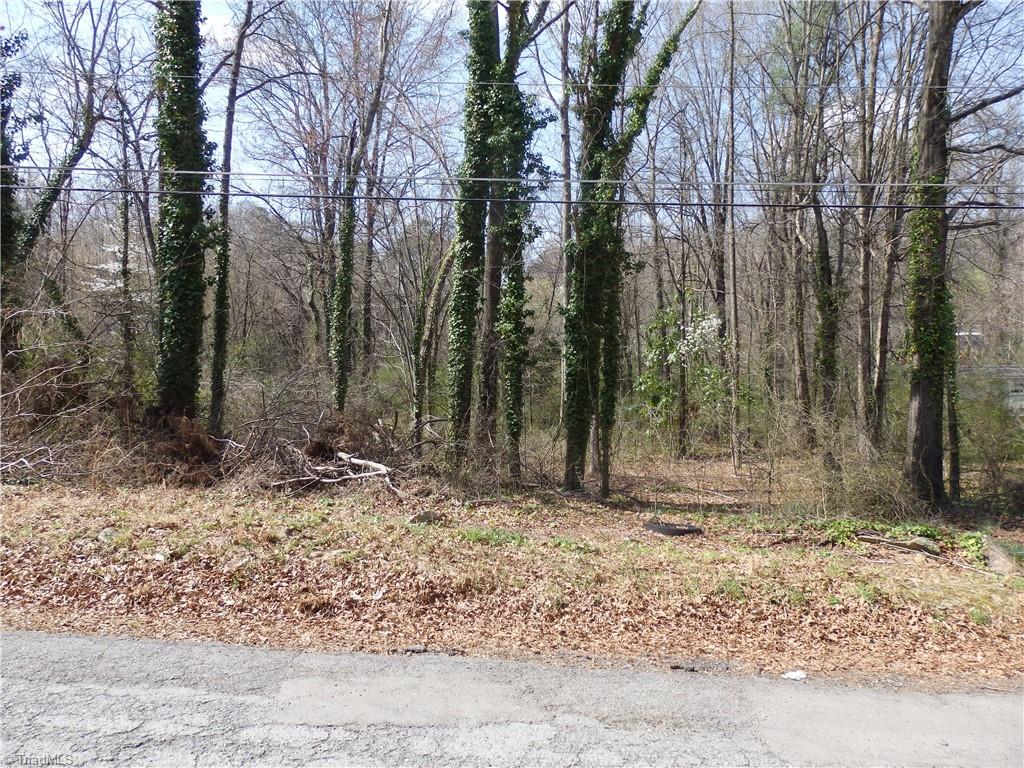 0 Chestnut Street Property Photo 4
