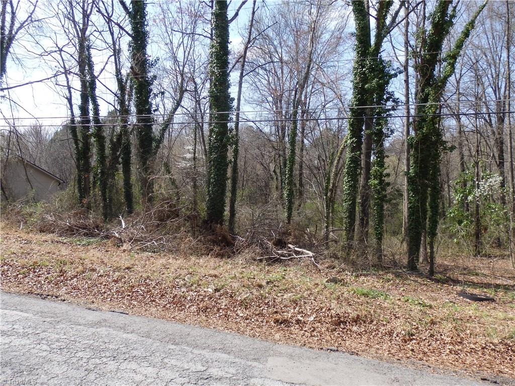 0 Chestnut Street Property Photo 5