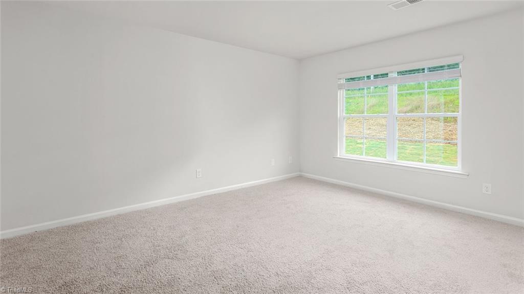 1015 Slingshot Drive Property Photo 10