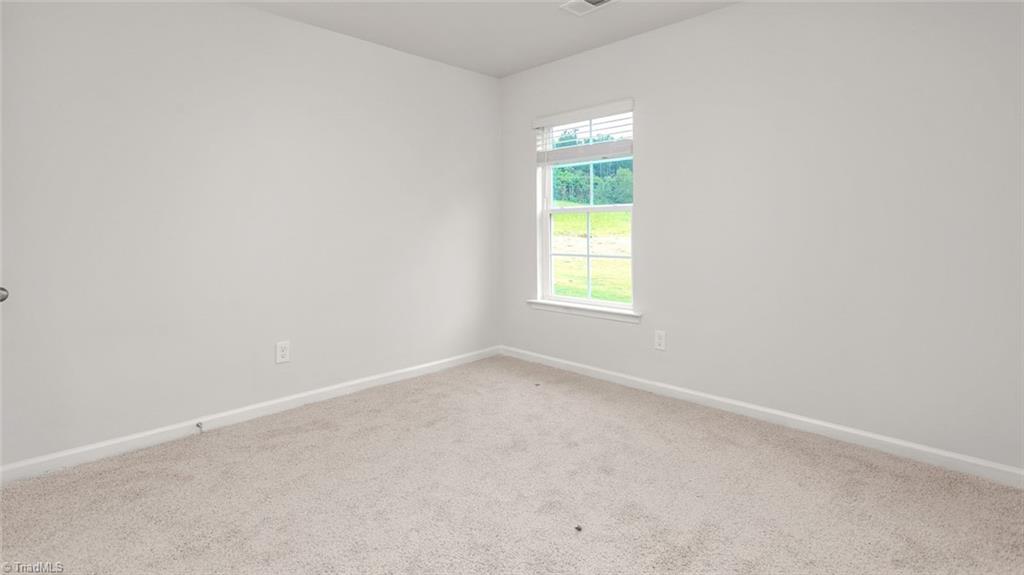1015 Slingshot Drive Property Photo 16
