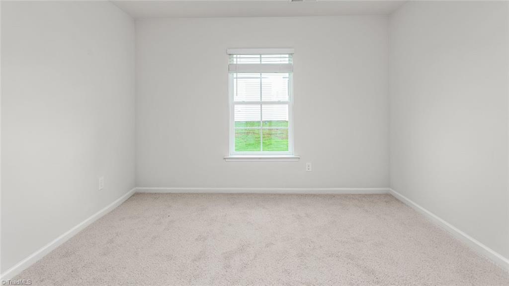 1015 Slingshot Drive Property Photo 18
