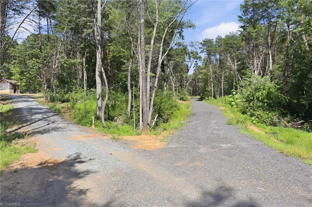 00 Pinehaven Trail Property Photo 10