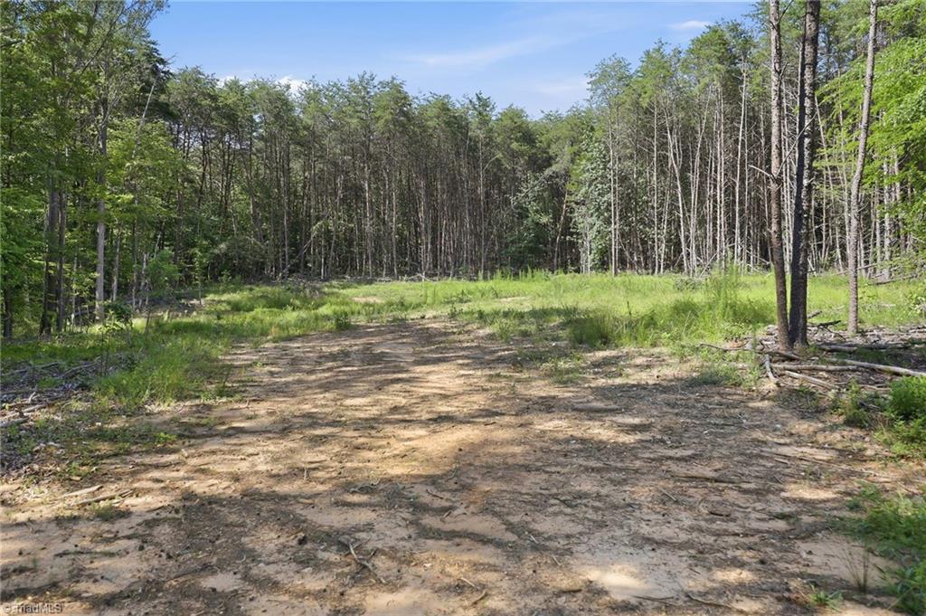 00 Pinehaven Trail Property Photo 11