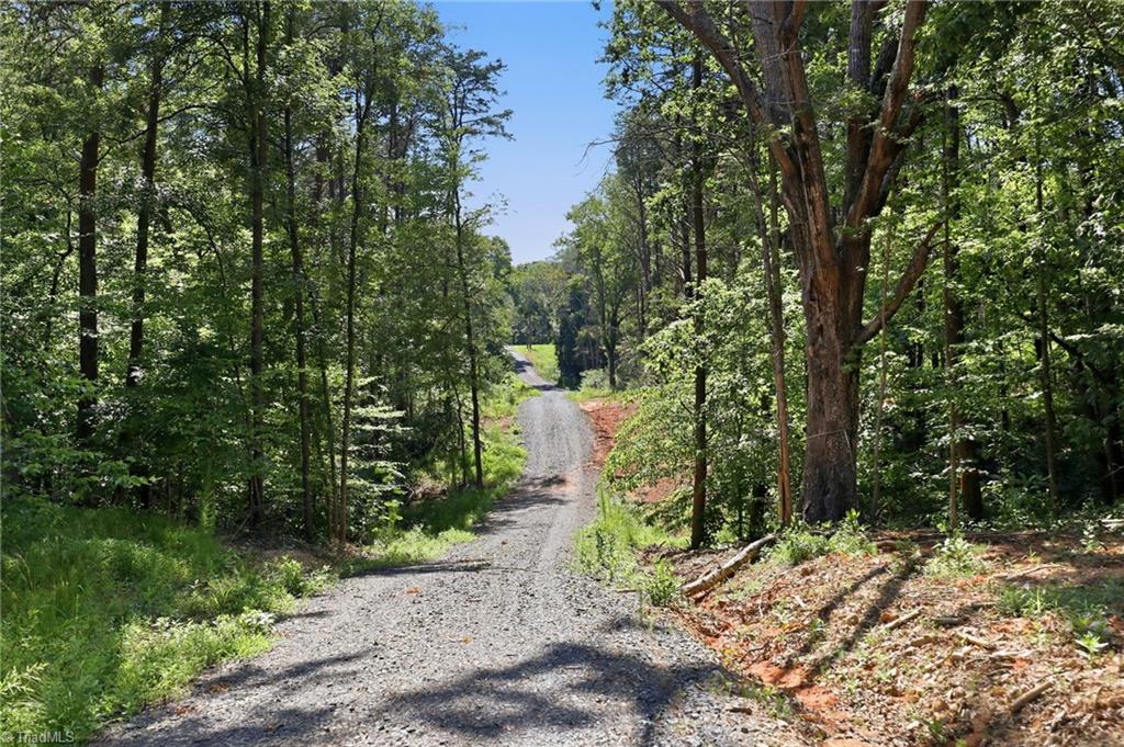 00 Pinehaven Trail Property Photo 12
