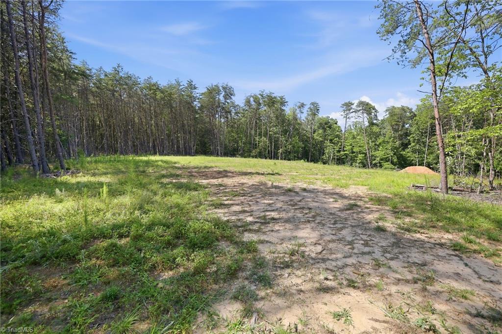 00 Pinehaven Trail Property Photo 13