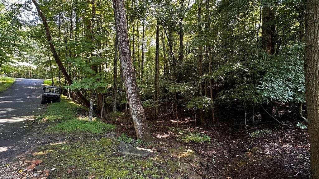 00c Higgins Road Property Photo 13