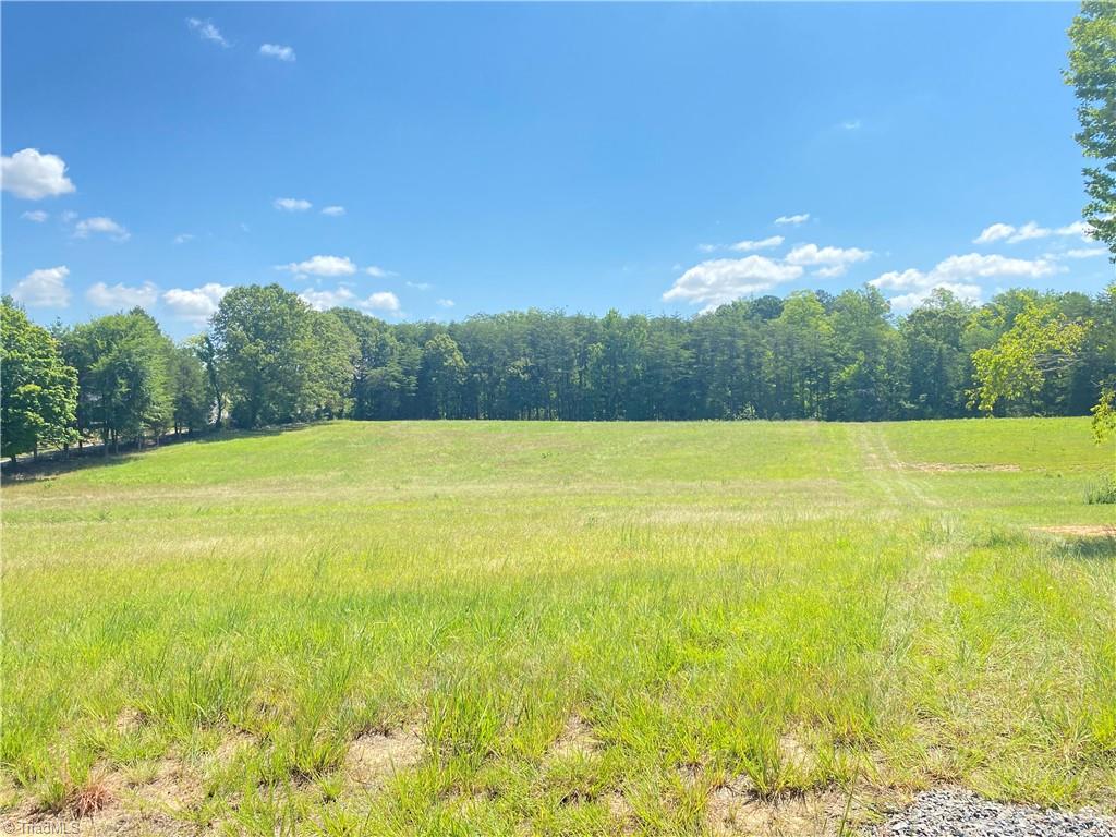 0 Nc Highway 87 Property Photo 2