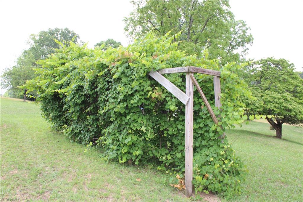 2541 Collinstown Road Property Photo 35