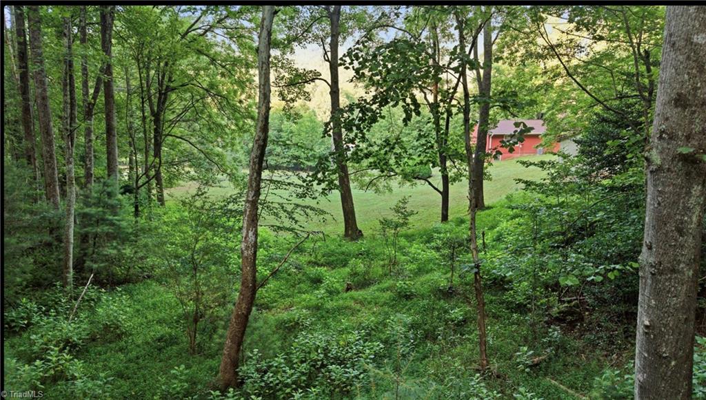 11526 Us Highway 421 Property Photo 38