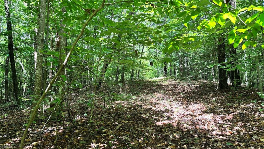 00d High Point Cove Property Photo 7