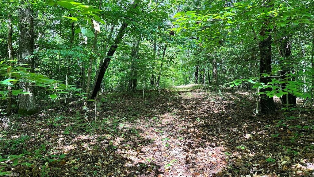 00d High Point Cove Property Photo 11
