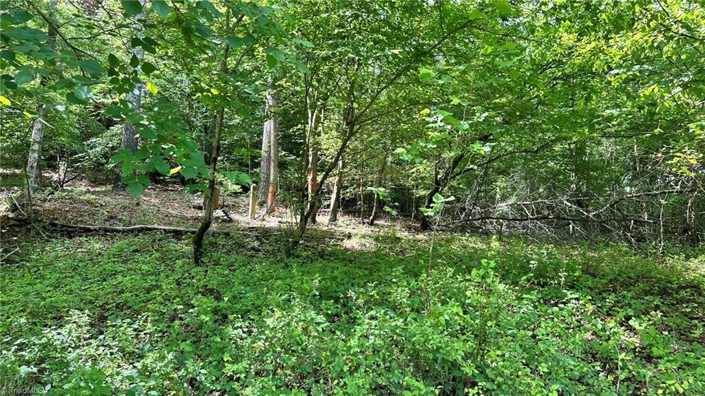 00d High Point Cove Property Photo 14