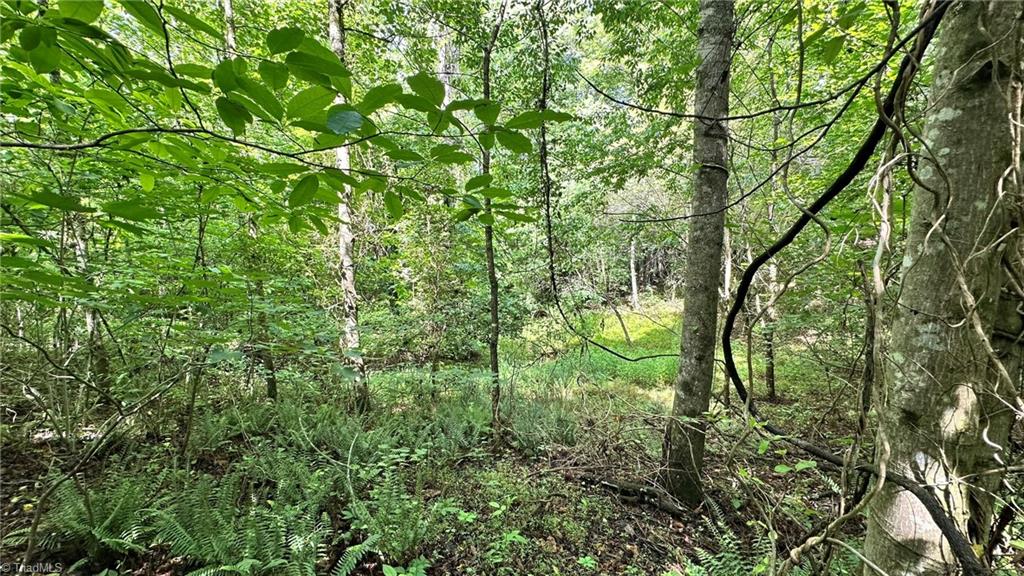 00e High Point Cove Property Photo 5