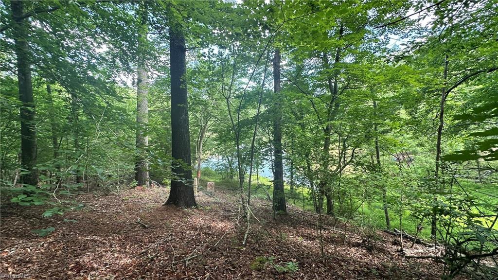00e High Point Cove Property Photo 6