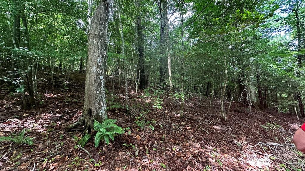 00e High Point Cove Property Photo 9
