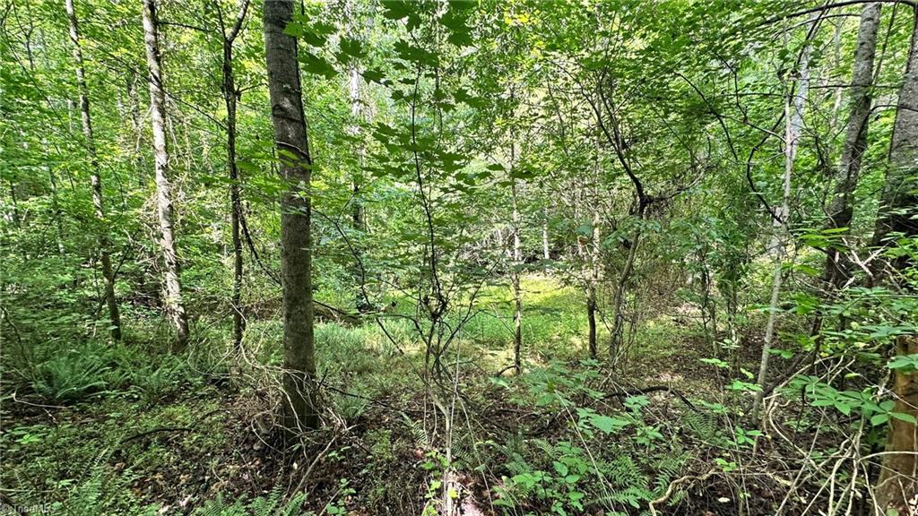 00e High Point Cove Property Photo 11