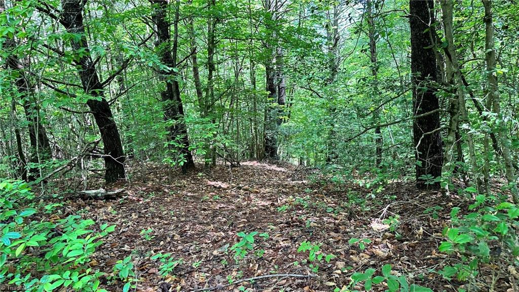 00e High Point Cove Property Photo 13
