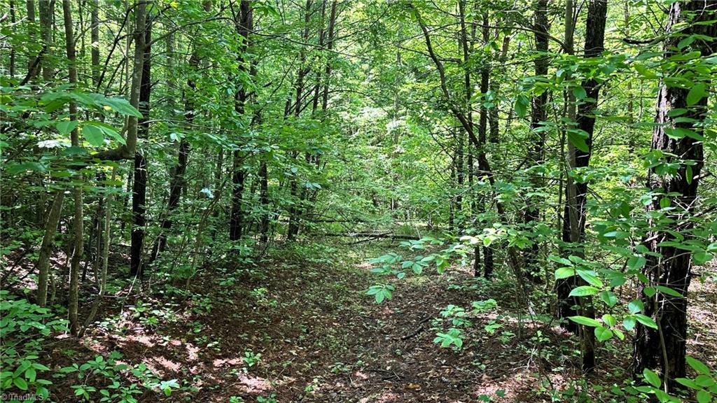 00e High Point Cove Property Photo 15