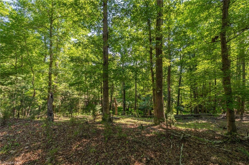 7289 Plunkett Road Property Photo 14