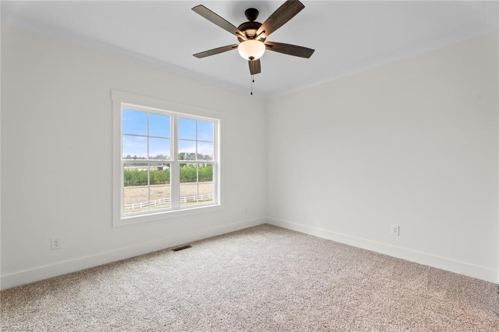 153 Summerlyn Drive Property Photo 12