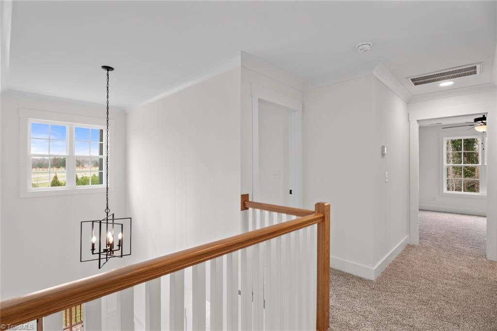 153 Summerlyn Drive Property Photo 19