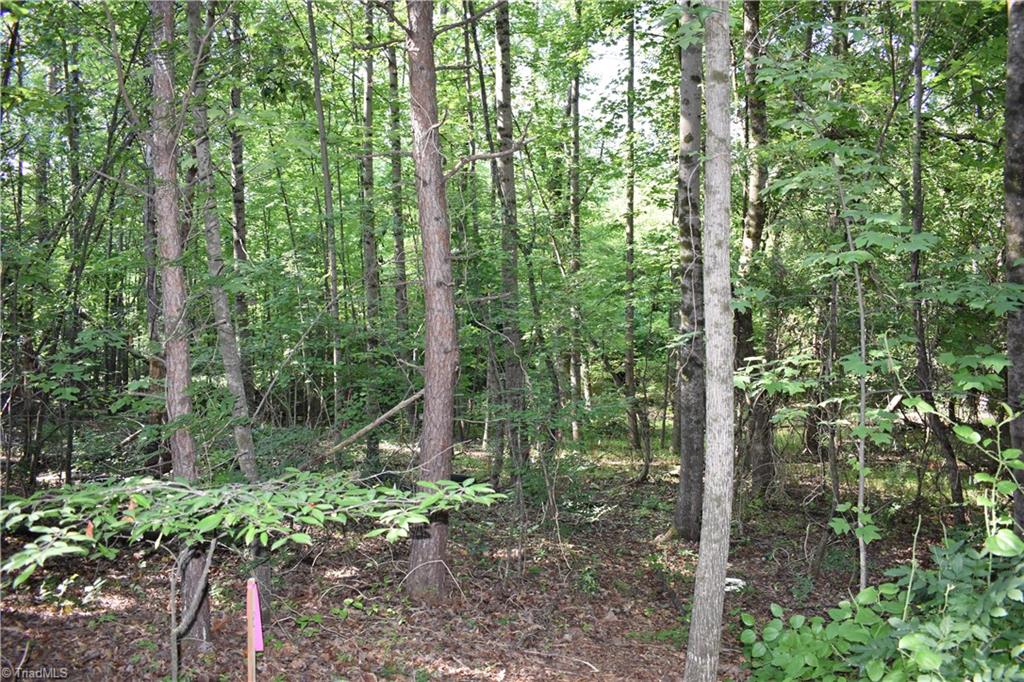 1380 Motor Road Property Photo 5