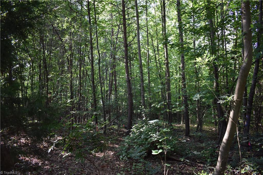 1380 Motor Road Property Photo 6