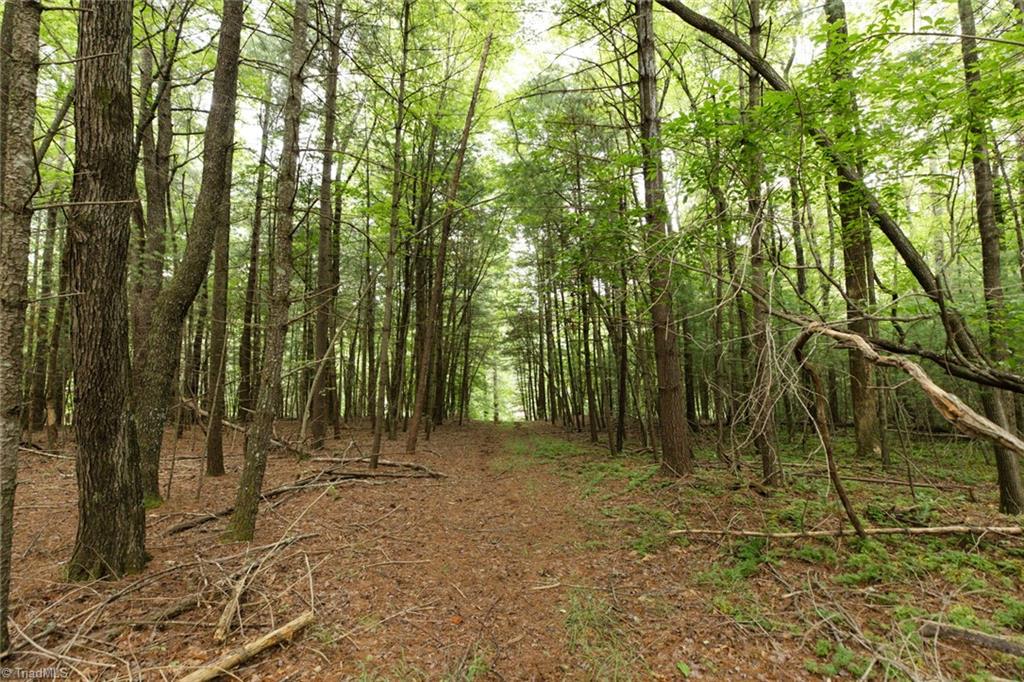 Tbd Mcintosh Drive Property Photo 2