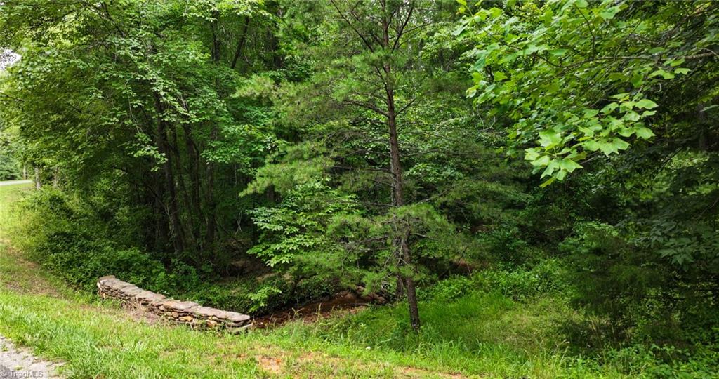 Tbd Mcintosh Drive Property Photo 5