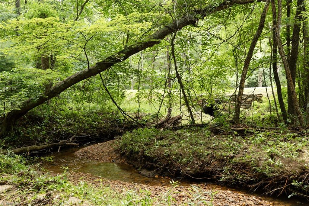 Tbd Mcintosh Drive Property Photo 6