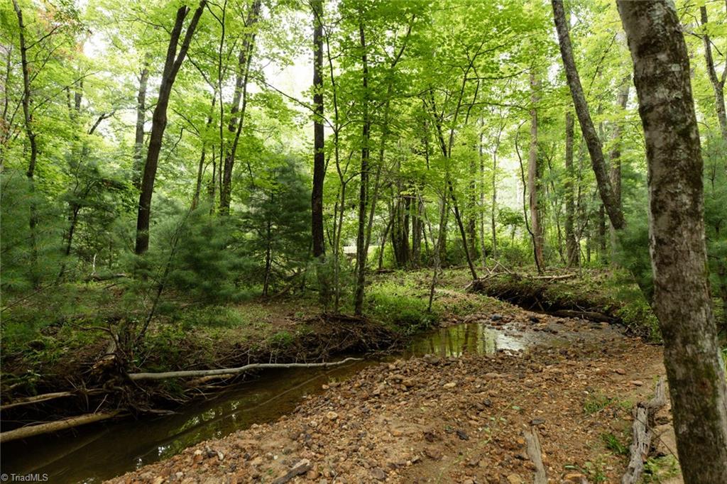 Tbd Mcintosh Drive Property Photo 8