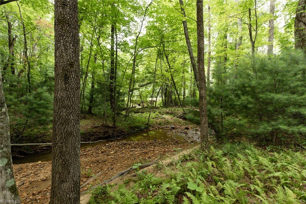 Tbd Mcintosh Drive Property Photo 9