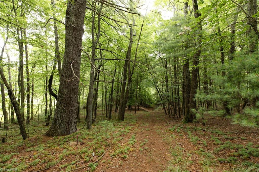 Tbd Mcintosh Drive Property Photo 10