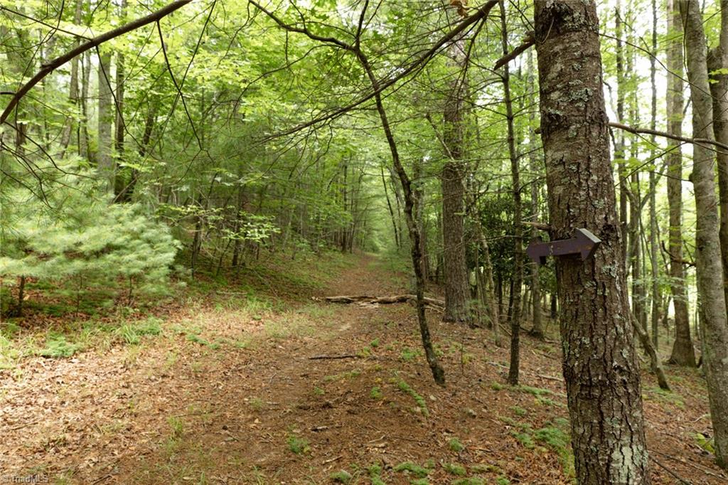 Tbd Mcintosh Drive Property Photo 12