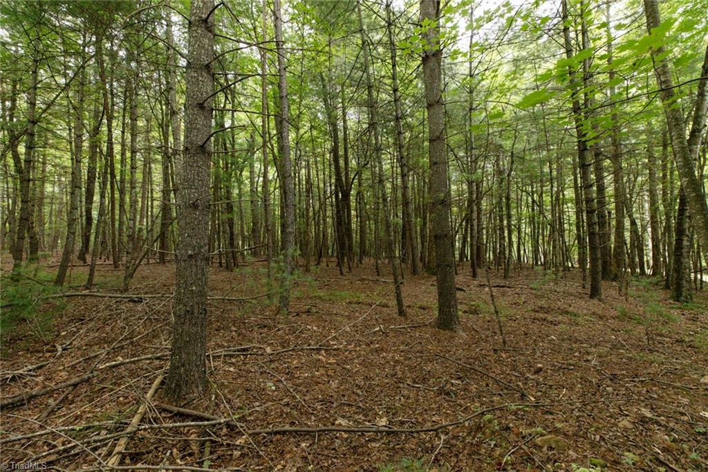 Tbd Mcintosh Drive Property Photo 13
