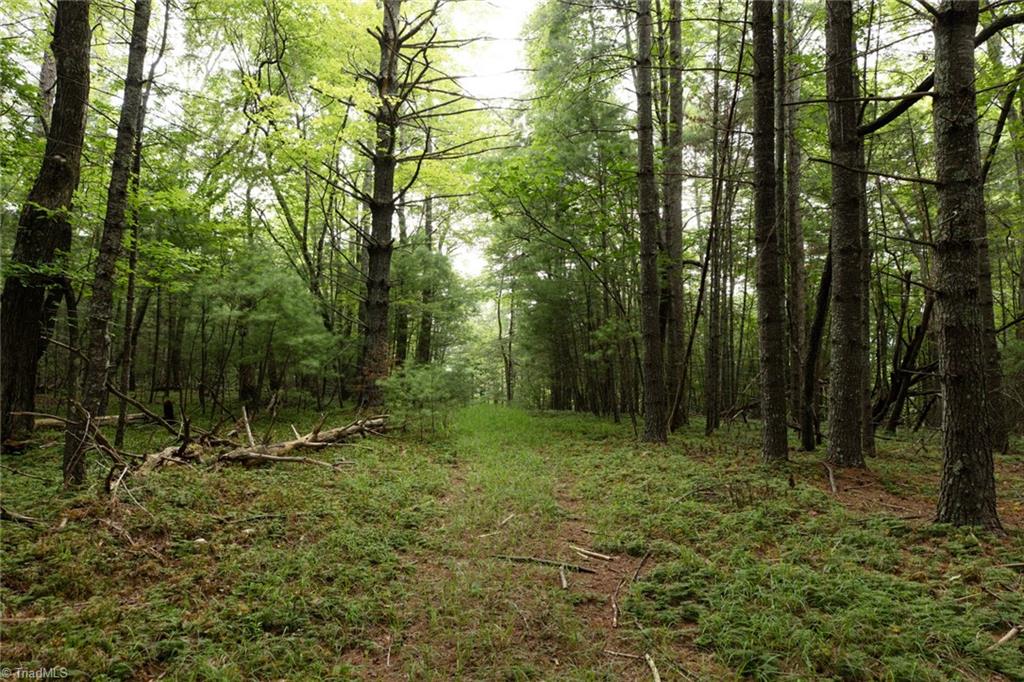 Tbd Mcintosh Drive Property Photo 14