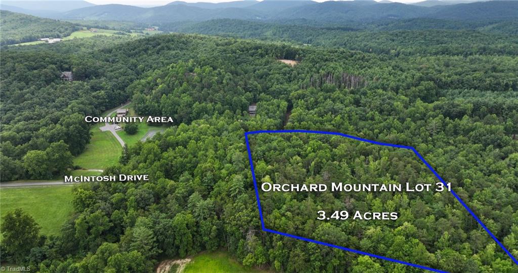 Tbd Mcintosh Drive Property Photo 41