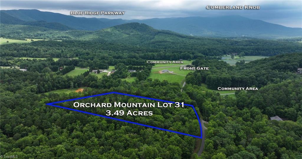 Tbd Mcintosh Drive Property Photo 42