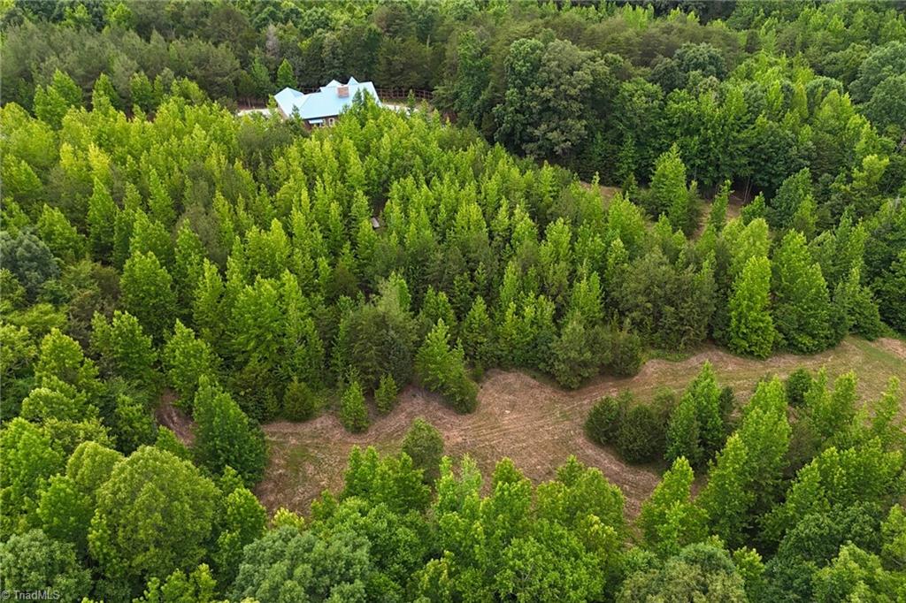 12751 Nc Highway 86 S Property Photo 48
