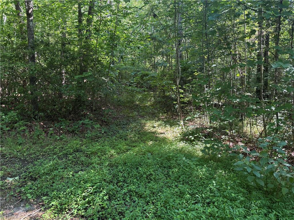 3032 Hauser Road Property Photo 4