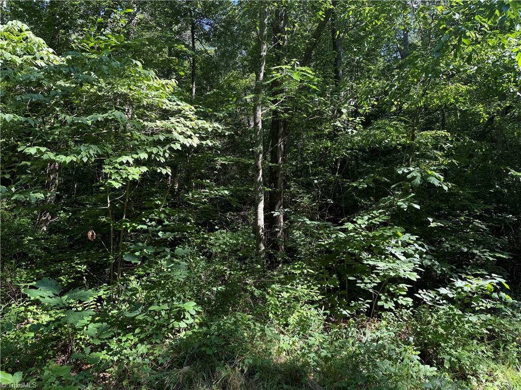 3032 Hauser Road Property Photo 7