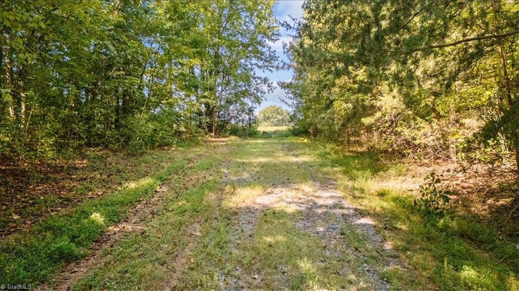 4069 Bentley Drive Property Photo 12
