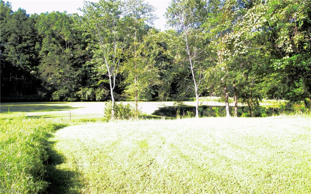 307 Valleygreen Trail Property Photo 13