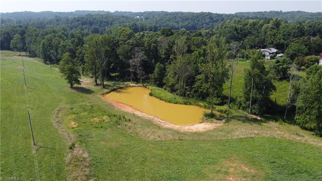 245 Brentons Ridge Trail Property Photo 8