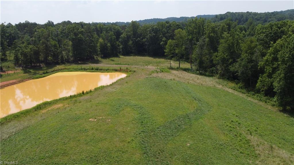 245 Brentons Ridge Trail Property Photo 14