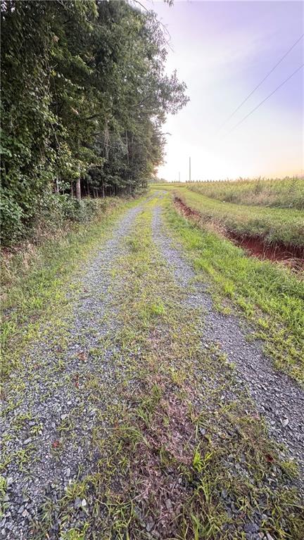 245 Brentons Ridge Trail Property Photo 25