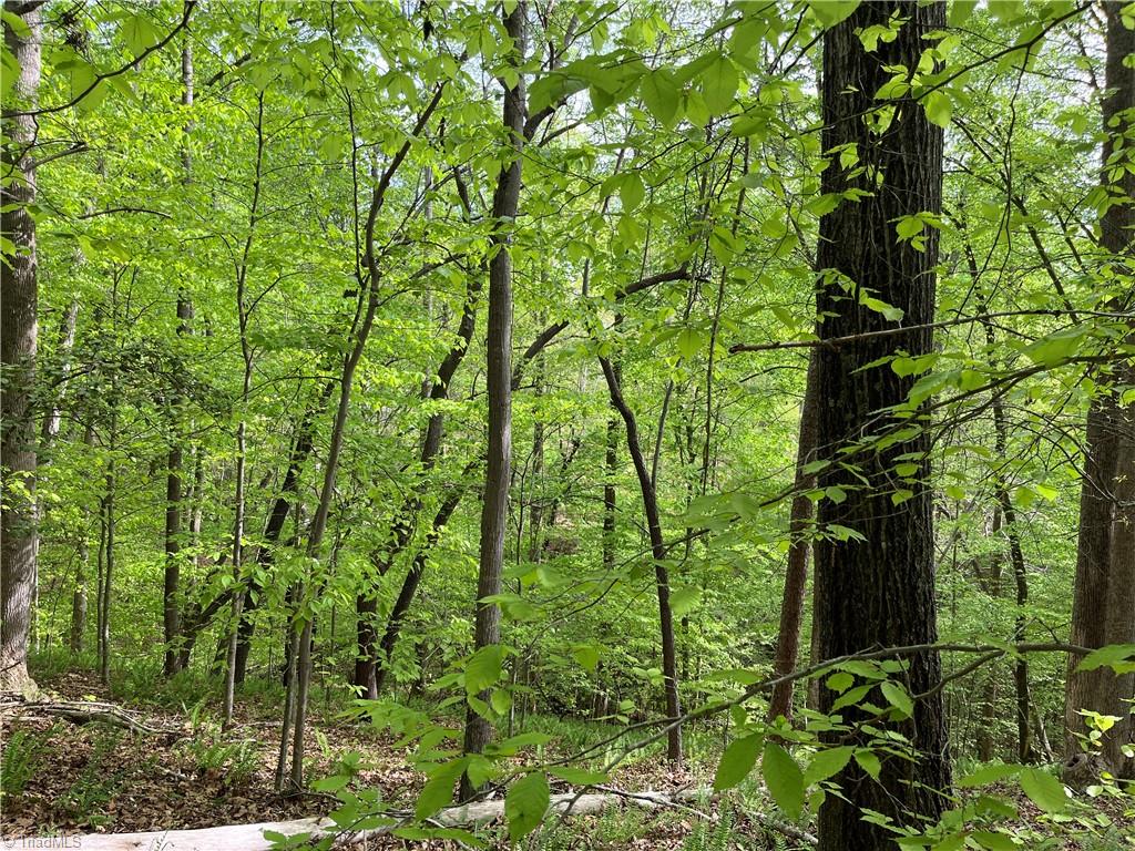 0 Sheets Trail Property Photo 3