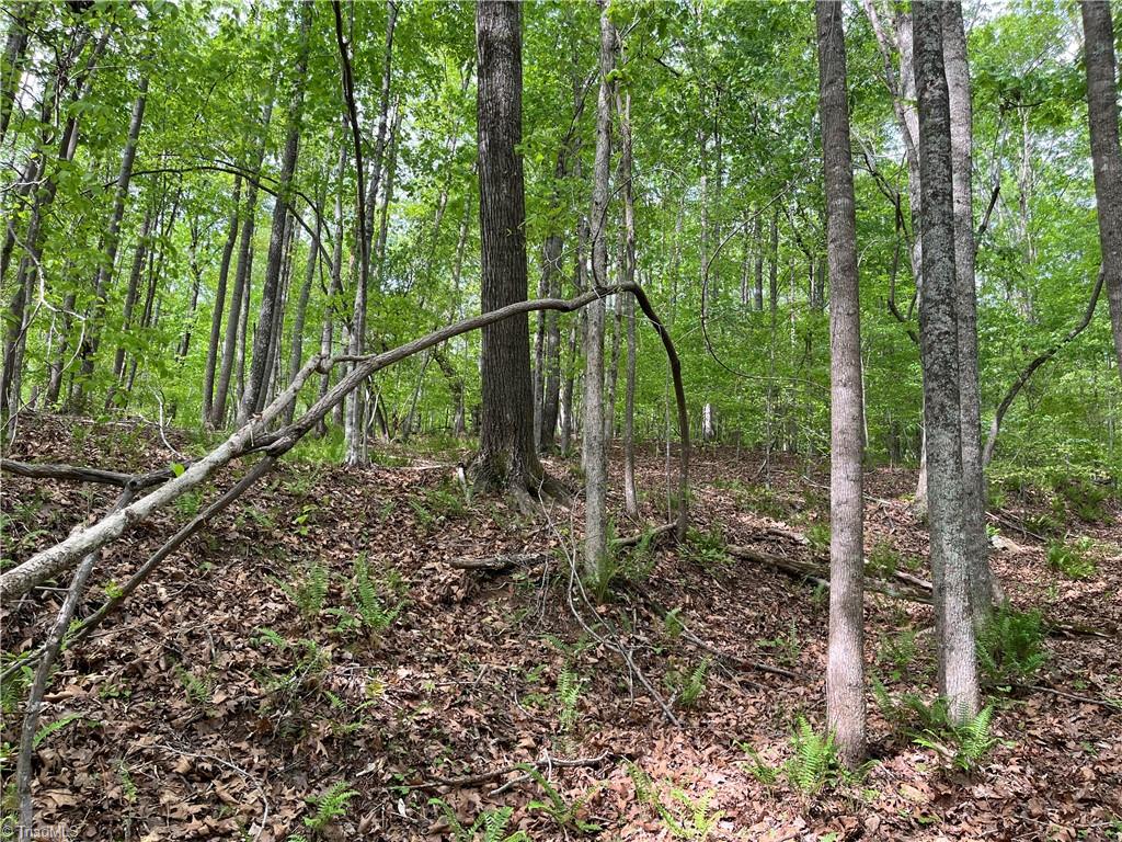 0 Sheets Trail Property Photo 4