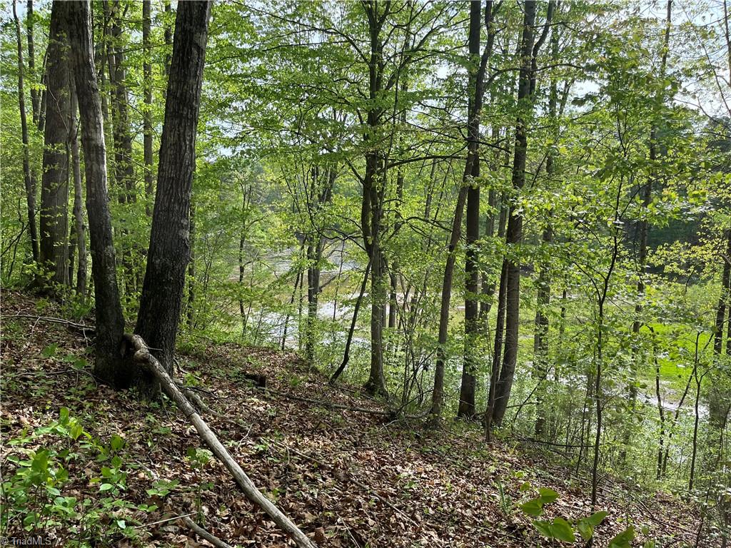0 Sheets Trail Property Photo 6
