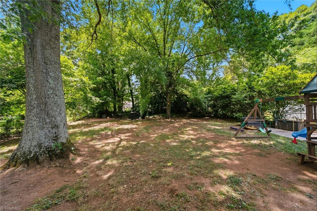 3737 Vandalia Drive Property Photo 27